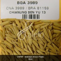 BRA00002726-8.JPG