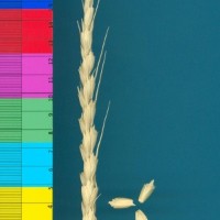 CWI18338_52594_266.jpg